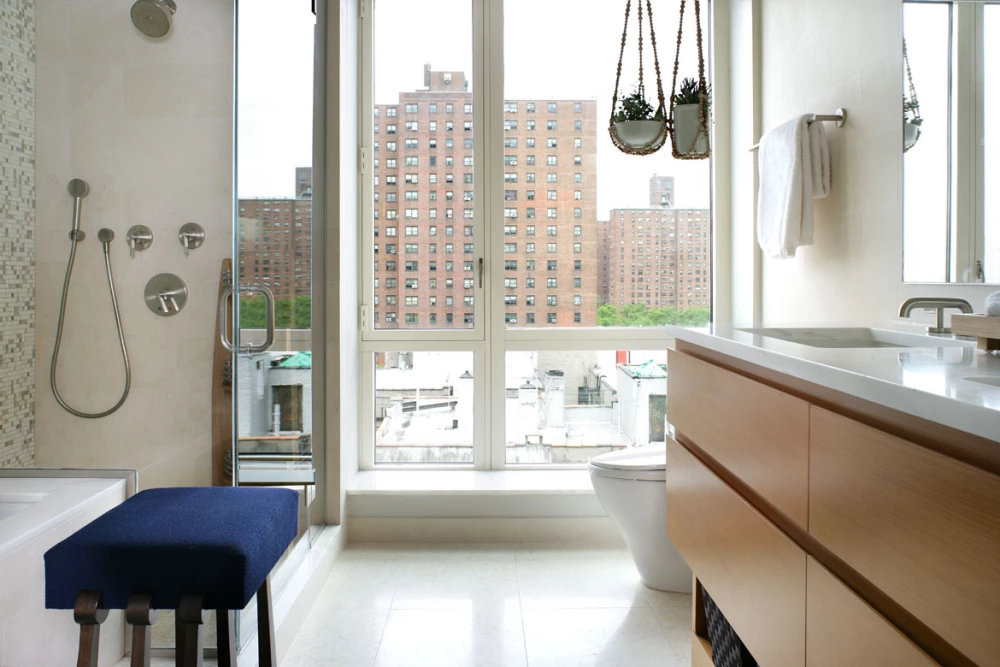 Fifth Avenue NY Condominium